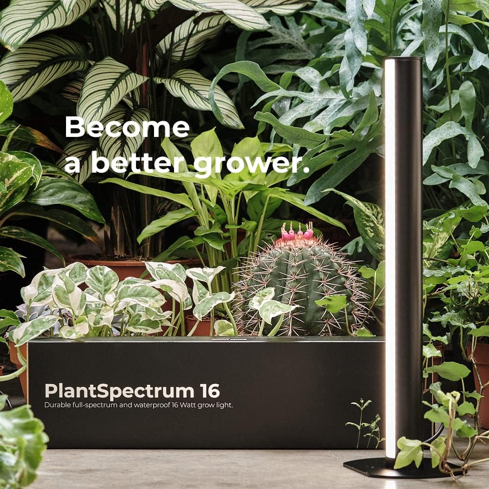 MOTHER PlantSpectrum16 Grow Light, Full Spectrum LED Plant Growing Lamp 16Watt for Indoor Plants